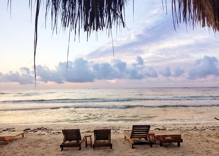 Hotel Playa Canek Beachfront Eco 4*