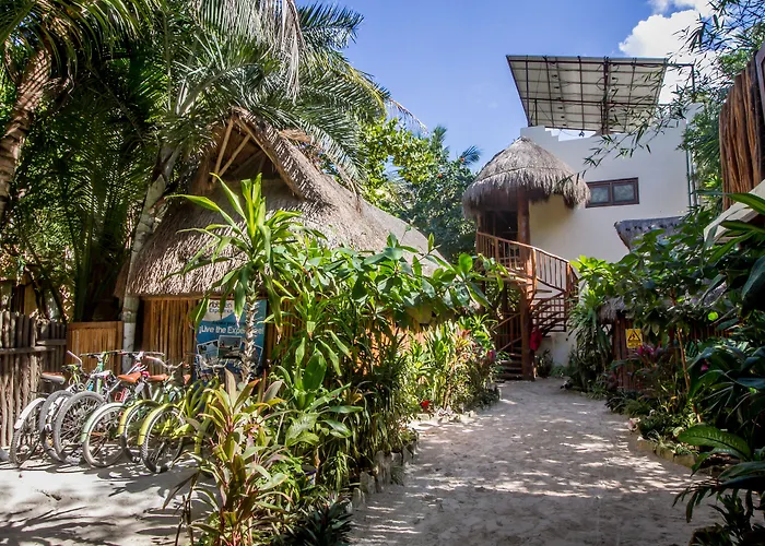 Playa Canek Beachfront Eco 4*