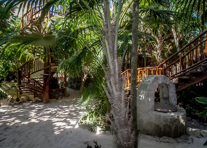 Hotel Playa Canek Beachfront Eco 4*